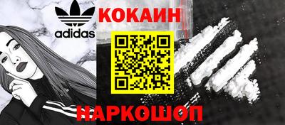 стафф Гай