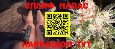 стафф Гай