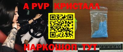 стафф Гай