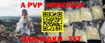 стафф Гай